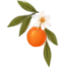 Logo oranger